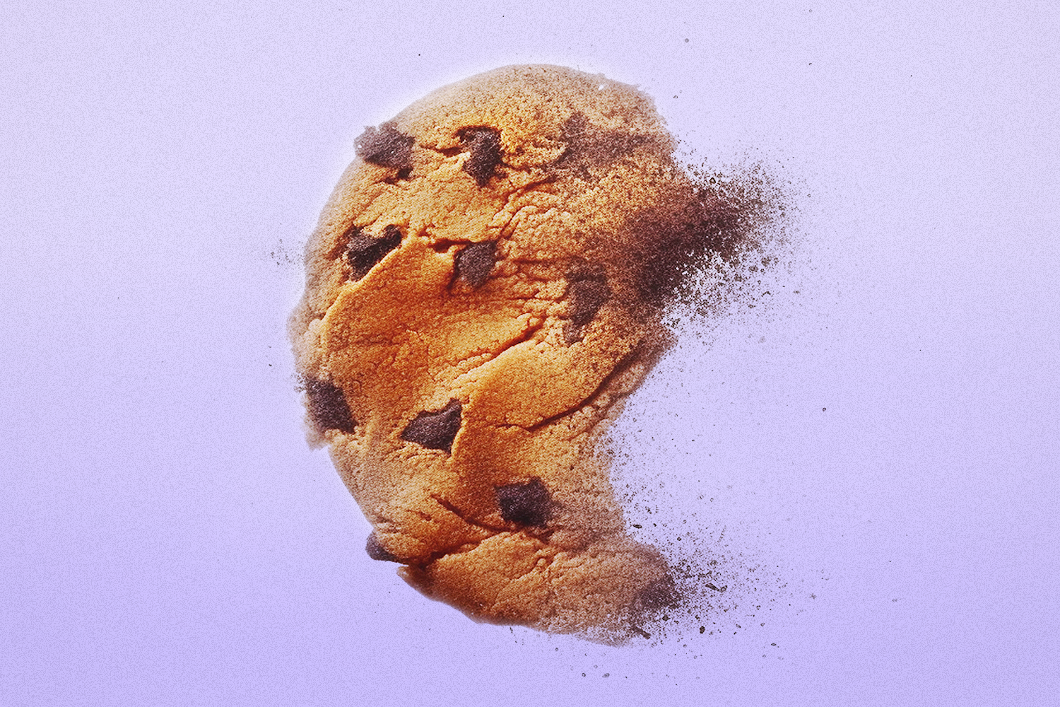 A chocolate chip cookie disappearing in to thin air on a light purple backdrop