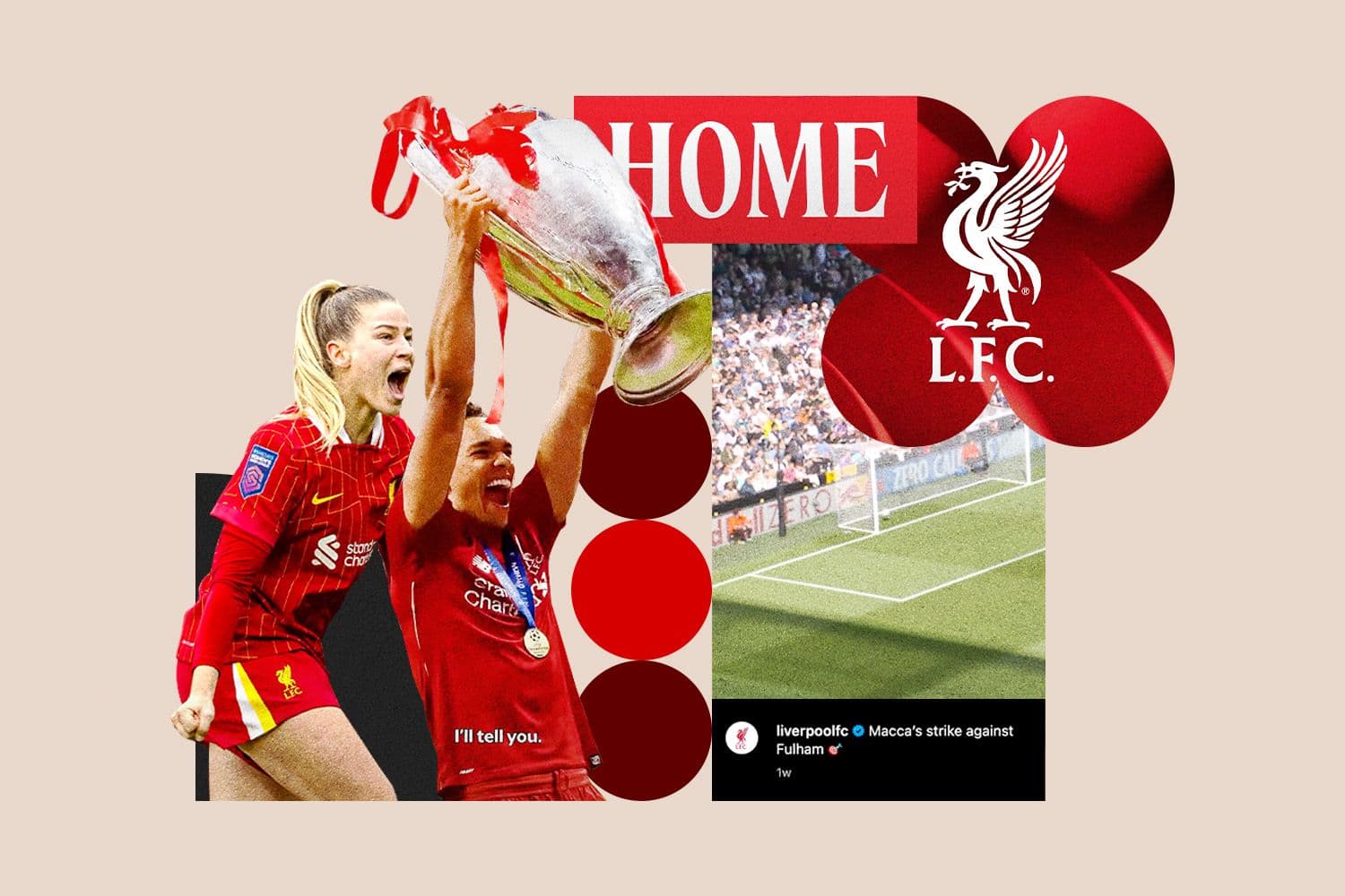 article cover
